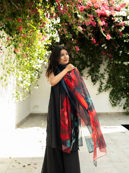 Laal Gulab Dupatta